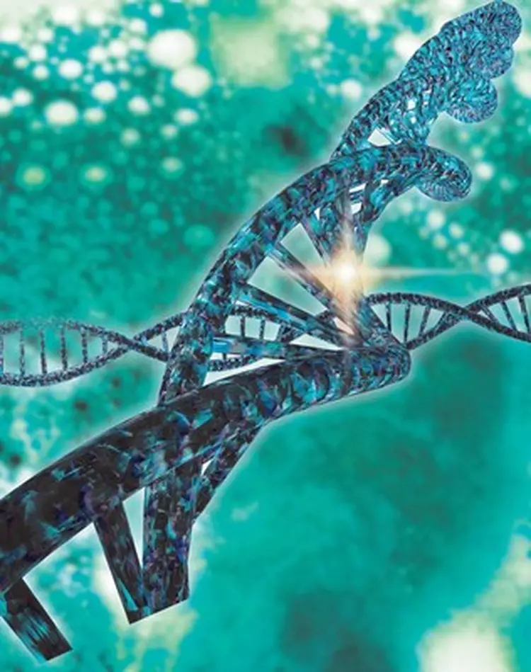 Genética: o cientista fundou um dos principais centros de pesquisa do genoma no mundo (PRNewsfoto/Merck/Divulgação)