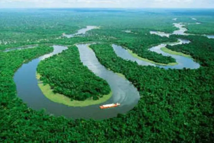 Amazônia: no início do ano passado. mais de 4.400 barris de petróleo foram derramados na região (foto/Divulgação)