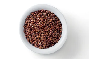 Após soja e milho, sorgo brasileiro abre caminho para conquistar o mercado chinês