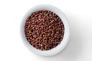 Imagem referente à matéria: Após soja e milho, sorgo brasileiro abre caminho para conquistar o mercado chinês