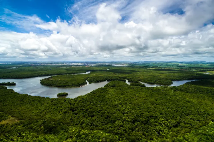 Amazônia: floresta presta serviço ambiental inestimável.  (iStock/Thinkstock)