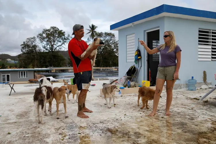 Sandra Harasimowicz conversa com seu marido, enquanto ele carrega um de seus cachorros no telhado da casa de um vizinho, depois que Porto Rico foi atingido pelo furacão Maria (Carlos Garcia Rawlins/Reuters)