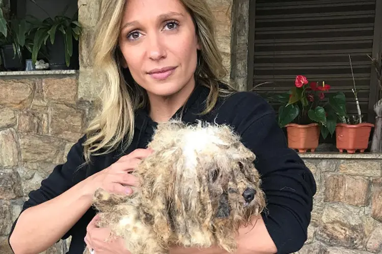 Luisa Mell: havia 30 cães disponíveis para a adoção, mas apenas nove foram adotados (Instagram/Arquivo Pessoal/Reprodução)