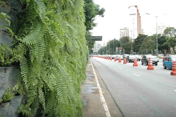 Parte do “Corredor Verde” na Avenida 23 de Maio. Localizado na região do Viaduto Tutóia. (LUIZ GUADAGNOLI/SECOM/Divulgação)