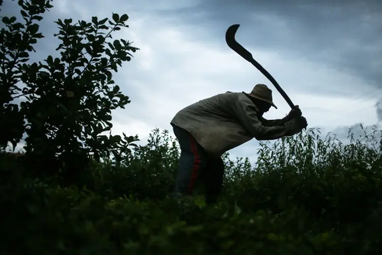 Trabalho escravo: a portaria ainda define trabalho forçado, jornada exaustiva e condição degradante (Mario Tama/Getty Images)
