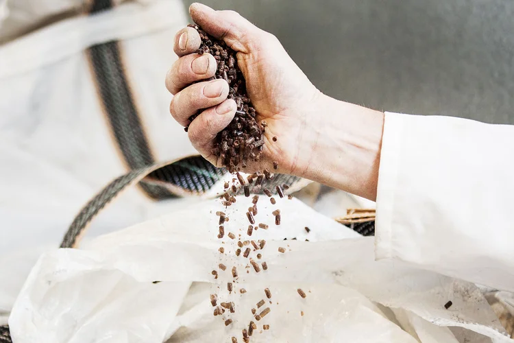 Proteína criada pela empresa de biotecnologia Calysta: “É muito melhor transformar metano em alimento do que queimá-lo”, disse o CEO (Calysta/Divulgação)