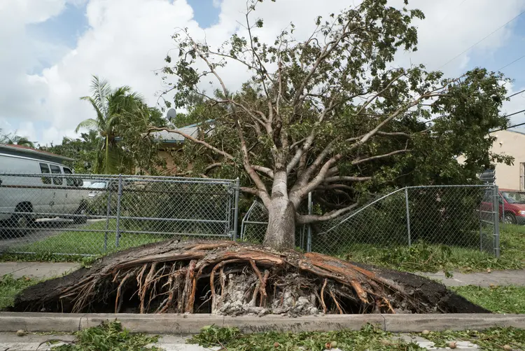 Furacão Irma: seria a tempestade mais cara da história dos EUA (Jayme Gershen/Bloomberg)