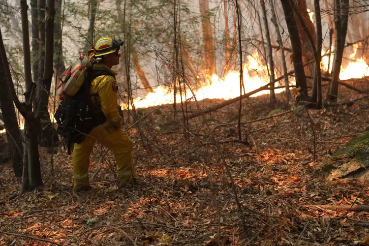 Incêndios na Califórnia: um dos focos mais preocupantes é o de Tubbs, que nas últimas horas cresceu até alcançar uma superfície calcinada perto dos 14 mil hectares (Jim Urquhart/Reuters)