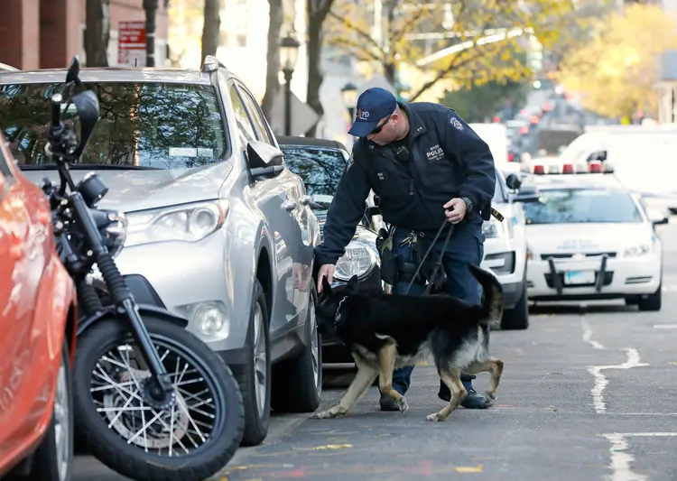 O vídeo também mostra o cachorro chamado Poncho verificando se o policial está respirando (Shannon Stapleton/Reuters)