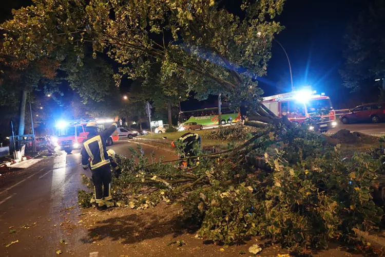 O temporal "Xavier" já tinha afetado Berlim e os arredores, arrancando árvores em toda a região (Sean Gallup/Getty Images)