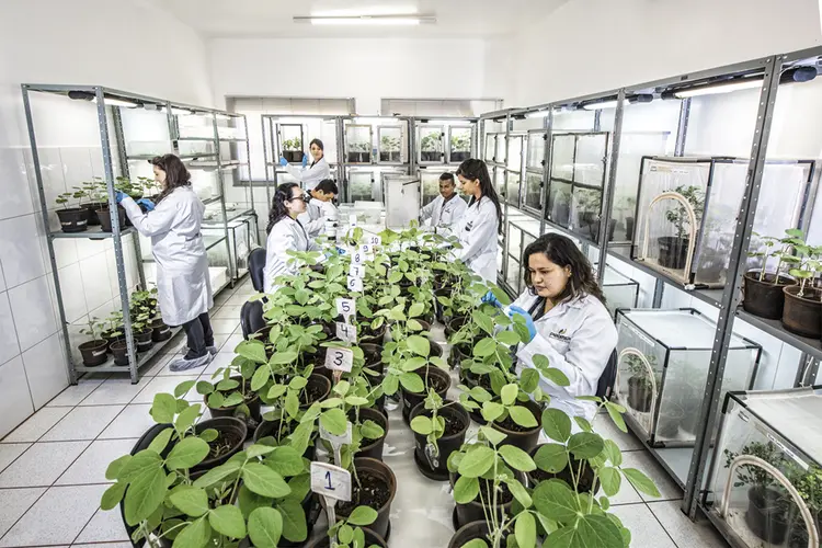 Fábrica da Promip, no interior de São Paulo: a startup utiliza tecnologia de ponta para fazer controle biológico  (Exame)