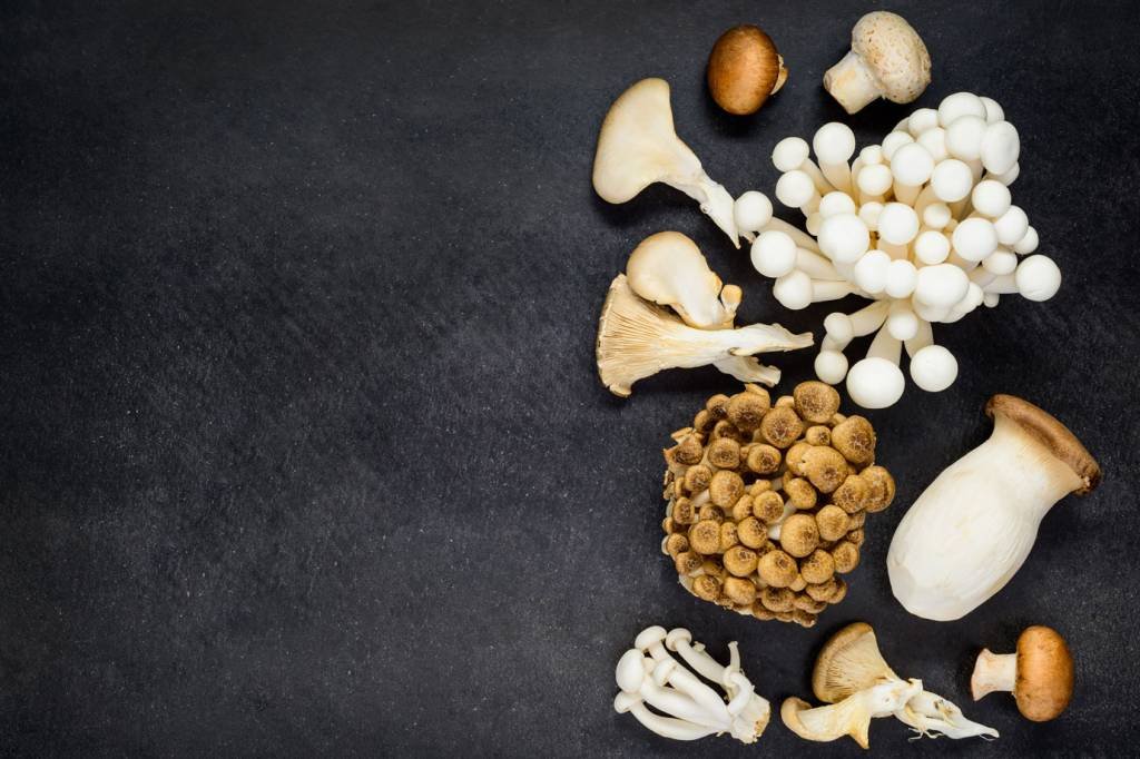 Startup promete textura de carne de verdade à base de cogumelos