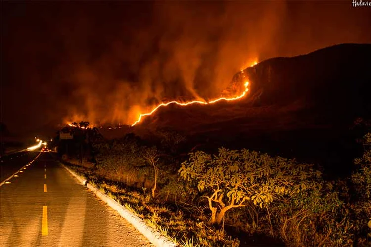 Incêndio na Chapada dos Veadeiros: será difícil apurar o caso (lávia Davies/ REDE contra FOGO/Divulgação)