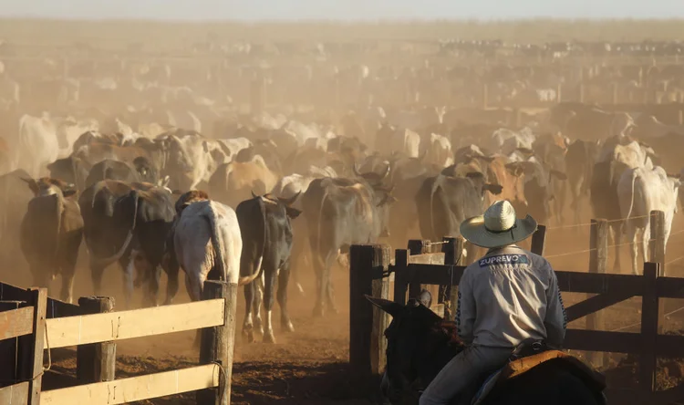 Enquanto os brasileiros clamam por uma ampla cota de livre comércio para carne, produtores europeus protestam contra a entrada do produto a preços baixos em suas terras