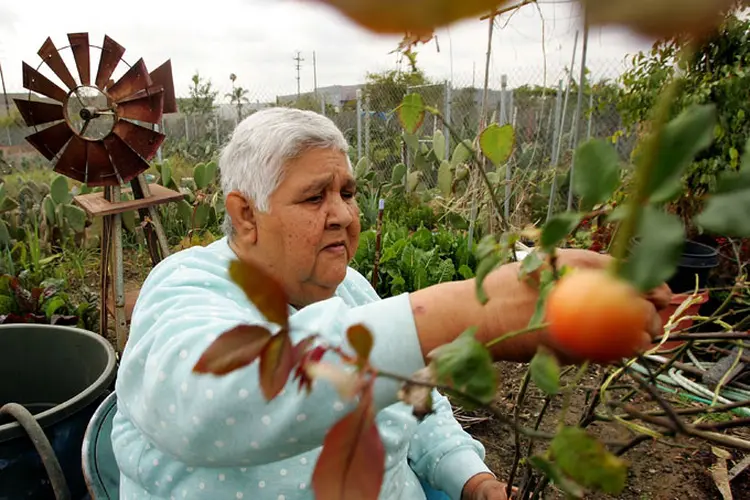 Idosos: os hispânicos investem 44% de sua renda nesse tipo de trabalho (David McNew/Getty Images)