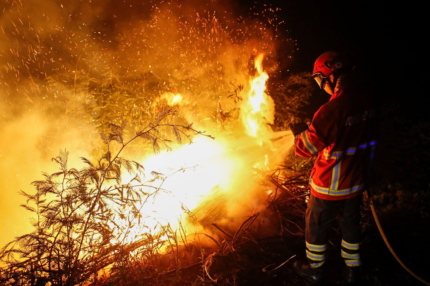 Sobe para 42 número de mortos em incêndios em Portugal