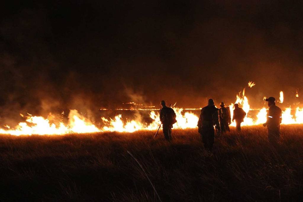 Chapada dos Veadeiros: incêndio já comprometeu 35 mil hectares, cerca de 14,6%  da área da reserva. (Ramilla Rodrigues/ ICMBio/Reprodução)