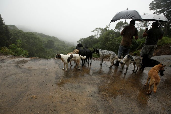 Tempestade Nate deixa 5 mil desalojados na Costa Rica