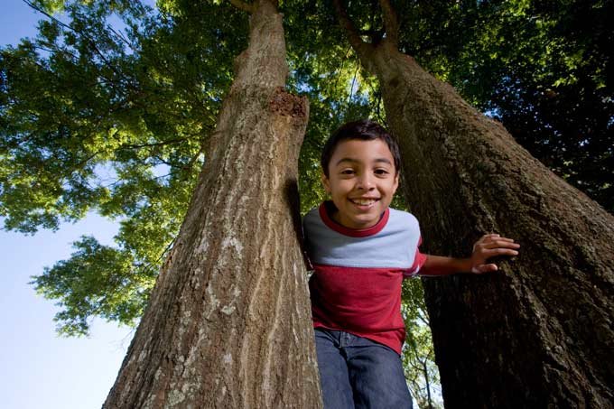 6 razões para presentear as crianças com mais natureza