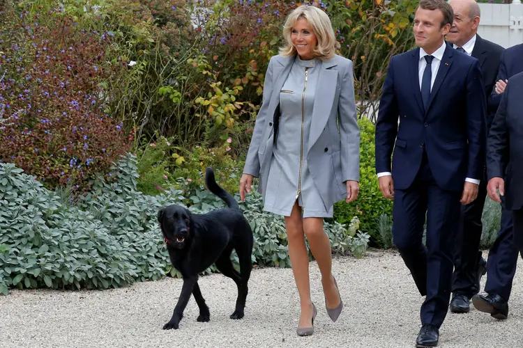 Nemo, o cão de estimação do presidente francês Emmanuel Macron: animal foi adotado em agosto (Michel Euler/Pool/Reuters)