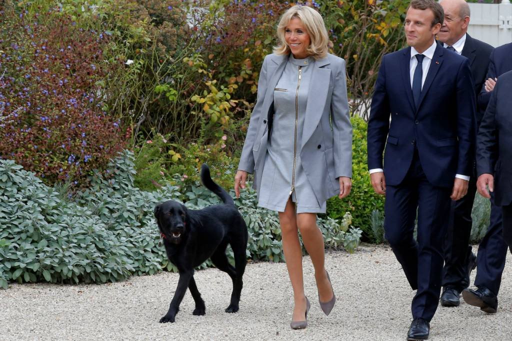 Nemo, cão de Macron, arranca risadas ao interromper reunião