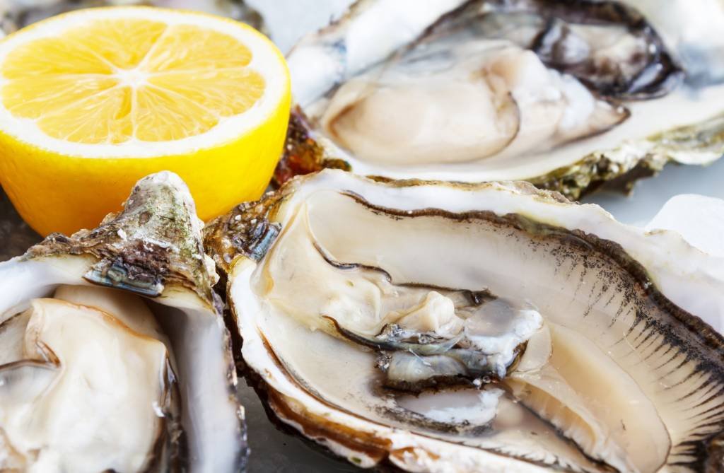 Santa Catarina mantém interdição de cultivos de ostras e mariscos
