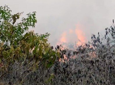 Piñera chega a Brasília para falar sobre incêndios com Bolsonaro