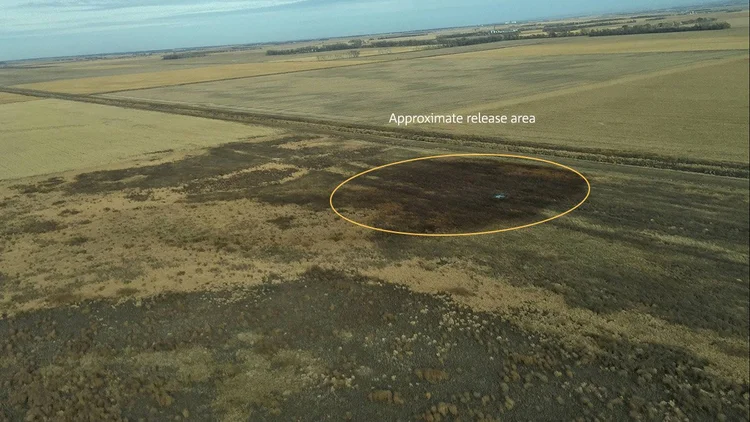 Vazamento: a empresa encerrou as operações do oleoduto no início desta quinta-feira (TransCanada Corp/Reuters)