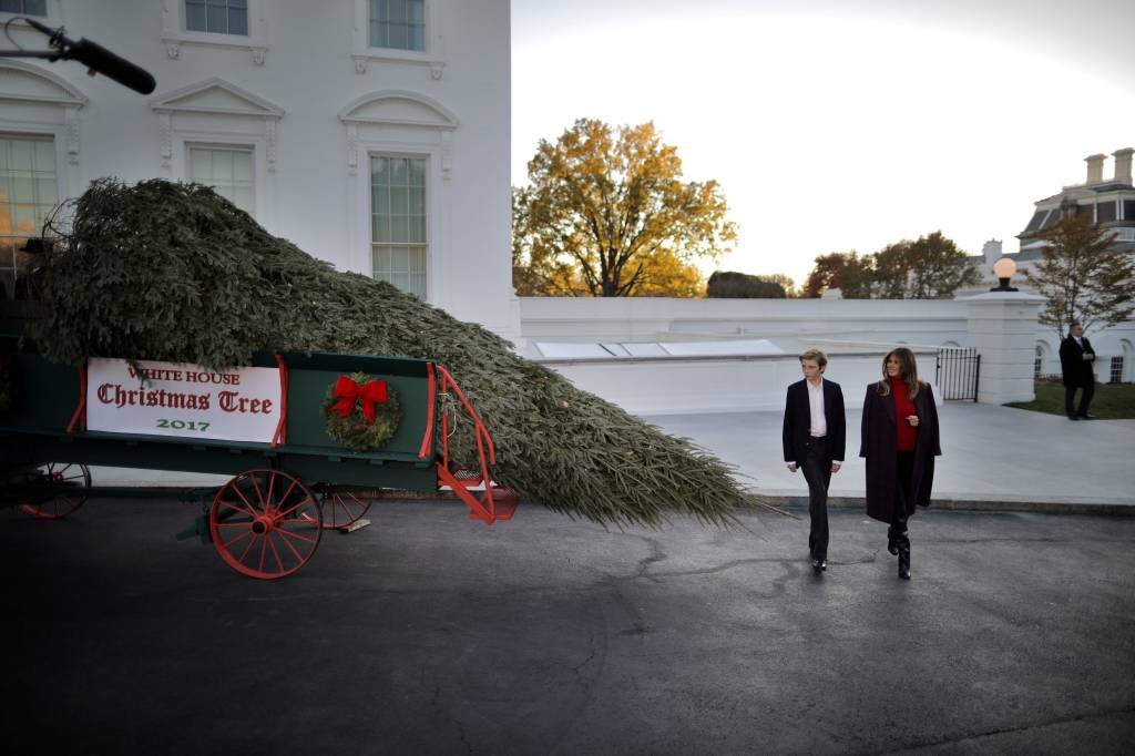 Melania Trump recebe sua 1ª árvore de Natal na Casa Branca