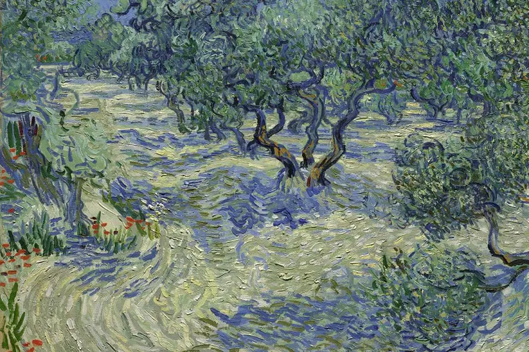 Quadro Oliveiras: "O fato de termos essa pequena surpresa de um gafanhoto é uma forma divertida de ter um novo olhar de um Van Gogh" (The Nelson-Atkins Museum of Art in Kansas City/Reprodução)