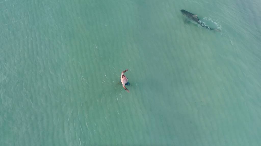 Foto de arquivo mostra homem próximo a a tubarão no mar de South Beach, em Miami (Kenny Melendez/Reuters)