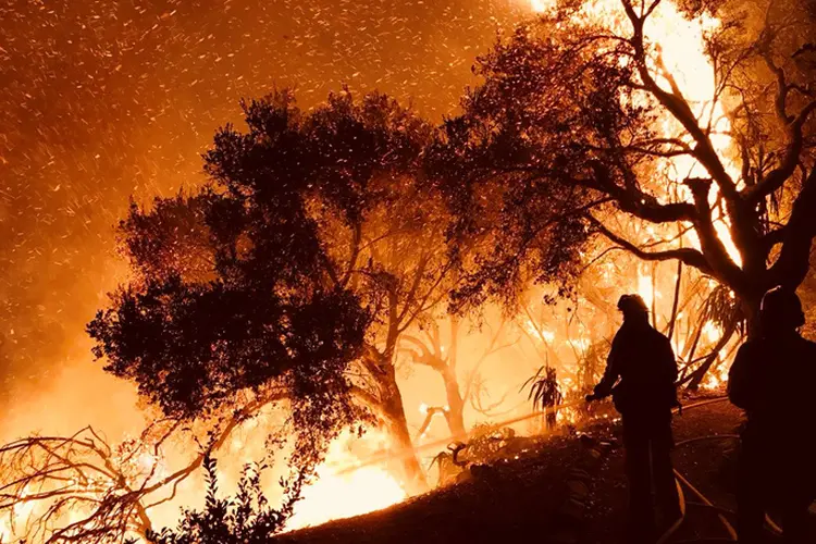 Incêndios na Califórnia: ordens de evacuação foram emitidas durante a noite para algumas áreas de Carpinteria (Foto/Reuters)