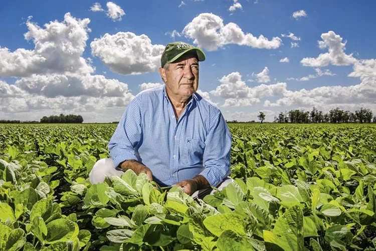 Rotação de lavouras: o agricultor Cândido Dutra planta soja em áreas de arroz para reduzir a incidência de praga | Anderson Astor / 