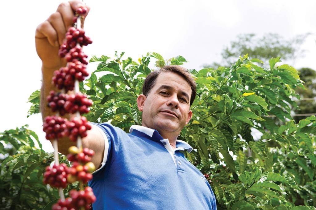 Café que respeita as origens