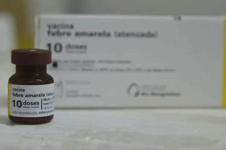 Febre amarela: vacina atual somente seria totalmente substituída por modelos mais recentes caso a proteção alcance o mesmo nível (Rovena Rosa/Agência Brasil)