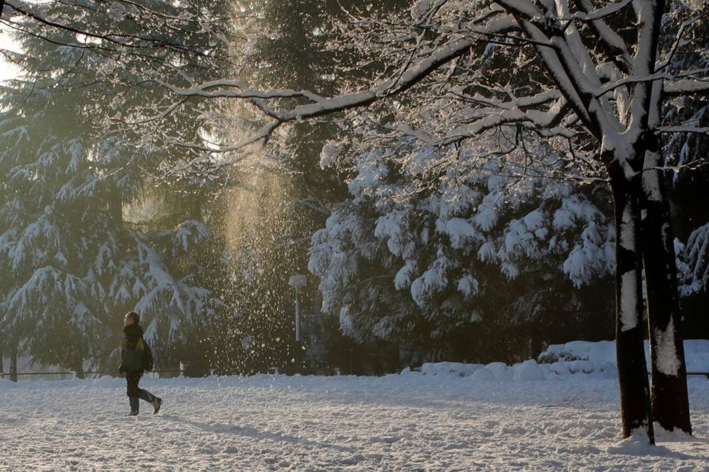 Neve deixa pelo menos 1 morto e 360 pessoas feridas no Japão