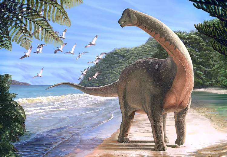 Dinossauro do Saara: ele tinha um comprimento similar ao de um ônibus médio e o peso de um elefante adulto (Andrew McAfee/Carnegie Museum of Natural History/Reuters)