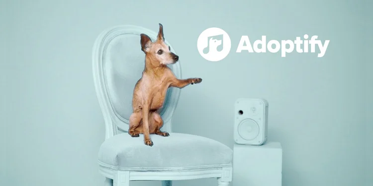 Campanha do Spotify: conectando cães e novos donos através da música (Spotify/Divulgação)