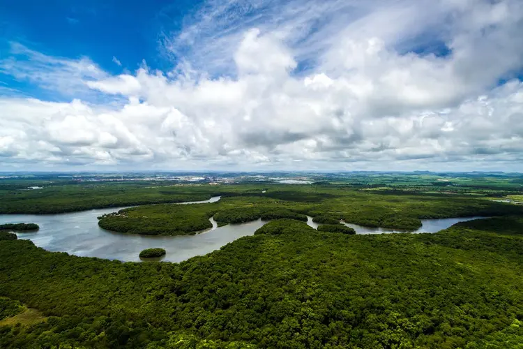 Amazônia: partículas de aerossol intensificam a formação de nuvens e chuvas (Ildo Frazao/Thinkstock)