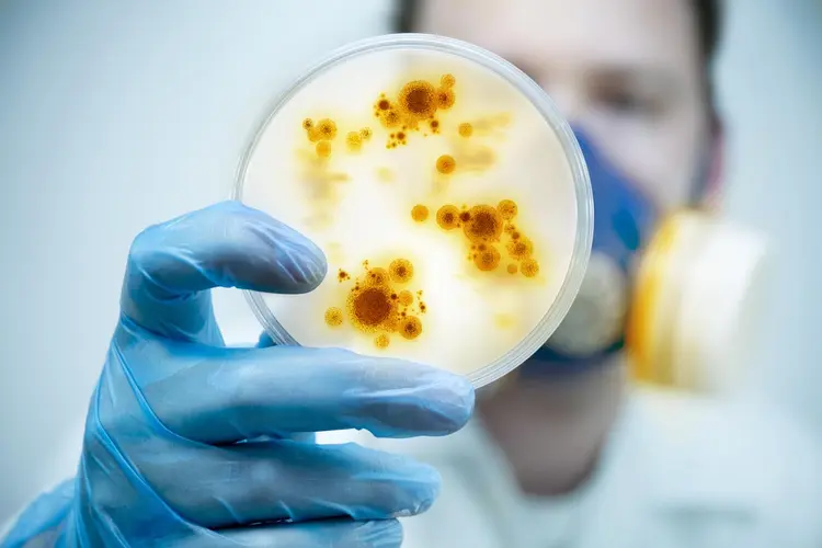 Bactérias: OMS faz alerta sobre resistência a antibióticos (solarseven/Thinkstock)