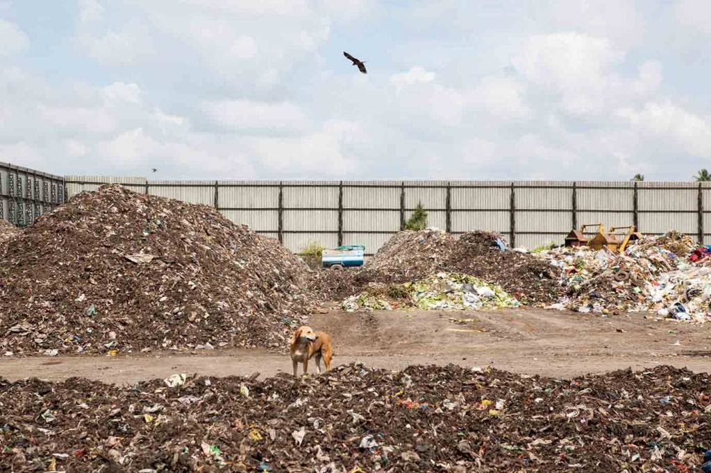 Cidade da Índia transforma montanha de lixo em dinheiro