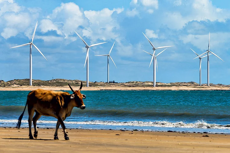 Parque eólico no Ceará: nordeste é a região no Brasil com predominância da energia renovável (Nilton Fukuda/Estadão Conteúdo)