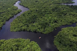 Imagem referente à matéria: Ibama recomenda manter veto à exploração da Foz do Rio Amazonas e cobra Petrobras