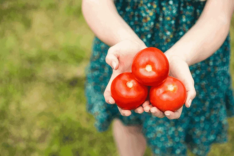 Tomate: junto com maçãs, fruto ajuda ex-fumantes (Wavebreakmedia Ltd/Thinkstock)