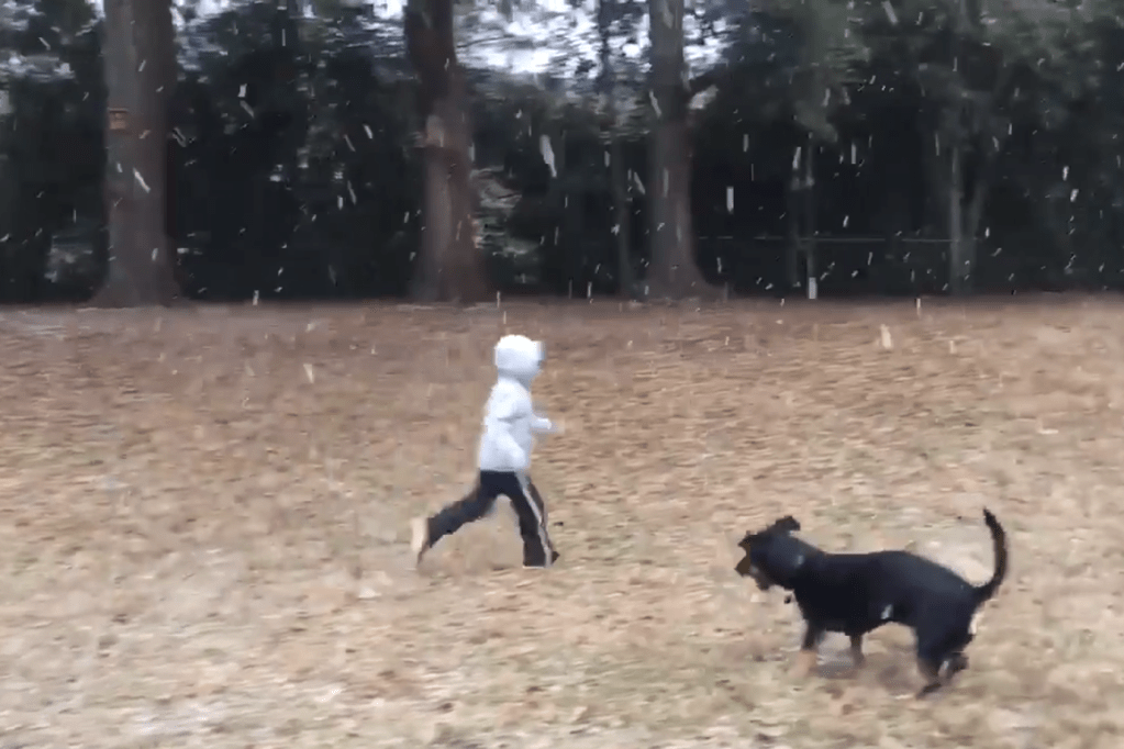 Vídeo de garoto e seu cão vendo neve pela 1ª vez viraliza