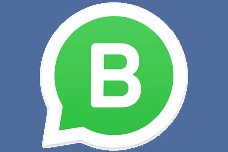 WhatsApp Business: saiba quais são os requisitos para rodar o novo app no smartphone (Reprodução/WhatsApp/Site Exame)
