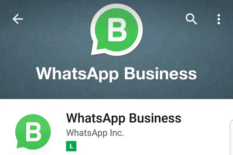 WhatsApp Business: veja como funciona o app para pequenas empresas (Google Play Store/WhatsApp/Reprodução)