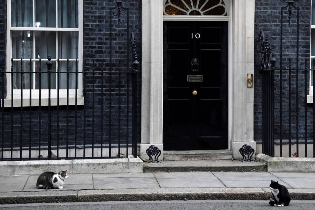 Gatos "brigões" do governo britânico trocam farpas novamente