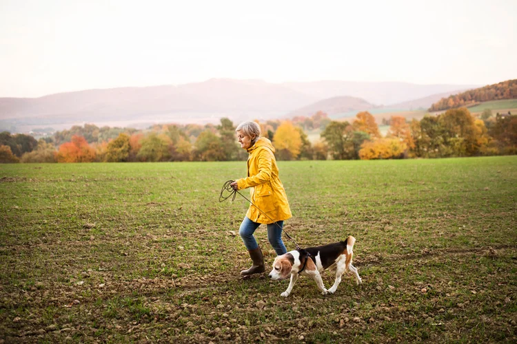 Idosa passeando com cachorro (iStock/Thinkstock)