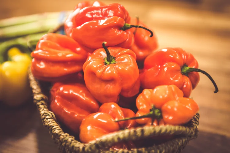 Chile habanero: uma unidade da moeda corresponde a um metro quadrado da produção da pimenta (FotoCuisinette/Thinkstock)